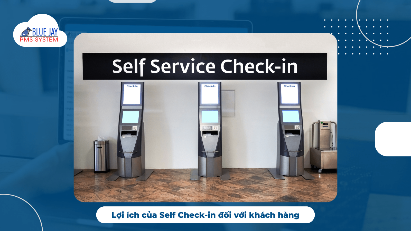 Self check-in là gì